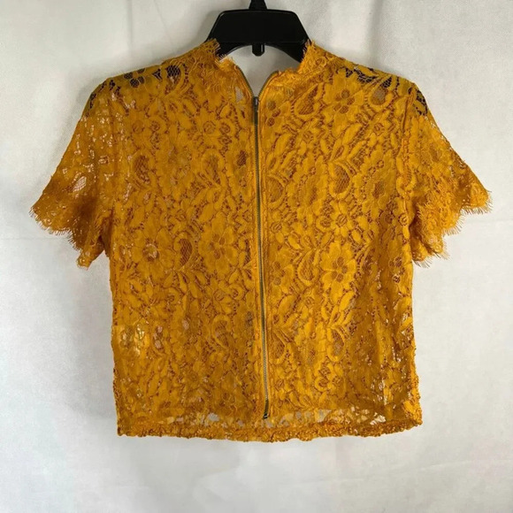 Zara NWT Golden Mustard Sheer Lace Embroidered Short Sleeve Crop Top Sz Small - Picture 2 of 10